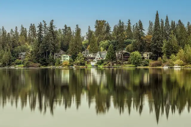 Shoreline homes among evergreens reflected in still water