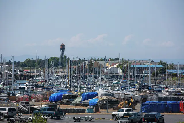Harbor packed with sailboat masts and a water tower on the hill behind