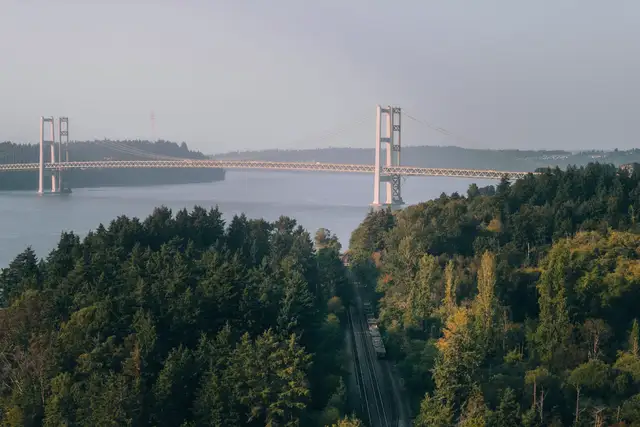 Tacoma Narrows Bridge seen over a forested shoreline